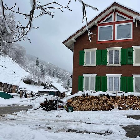 Old Farmhouse Loft Near Vaduz Sevelen Bagian luar foto